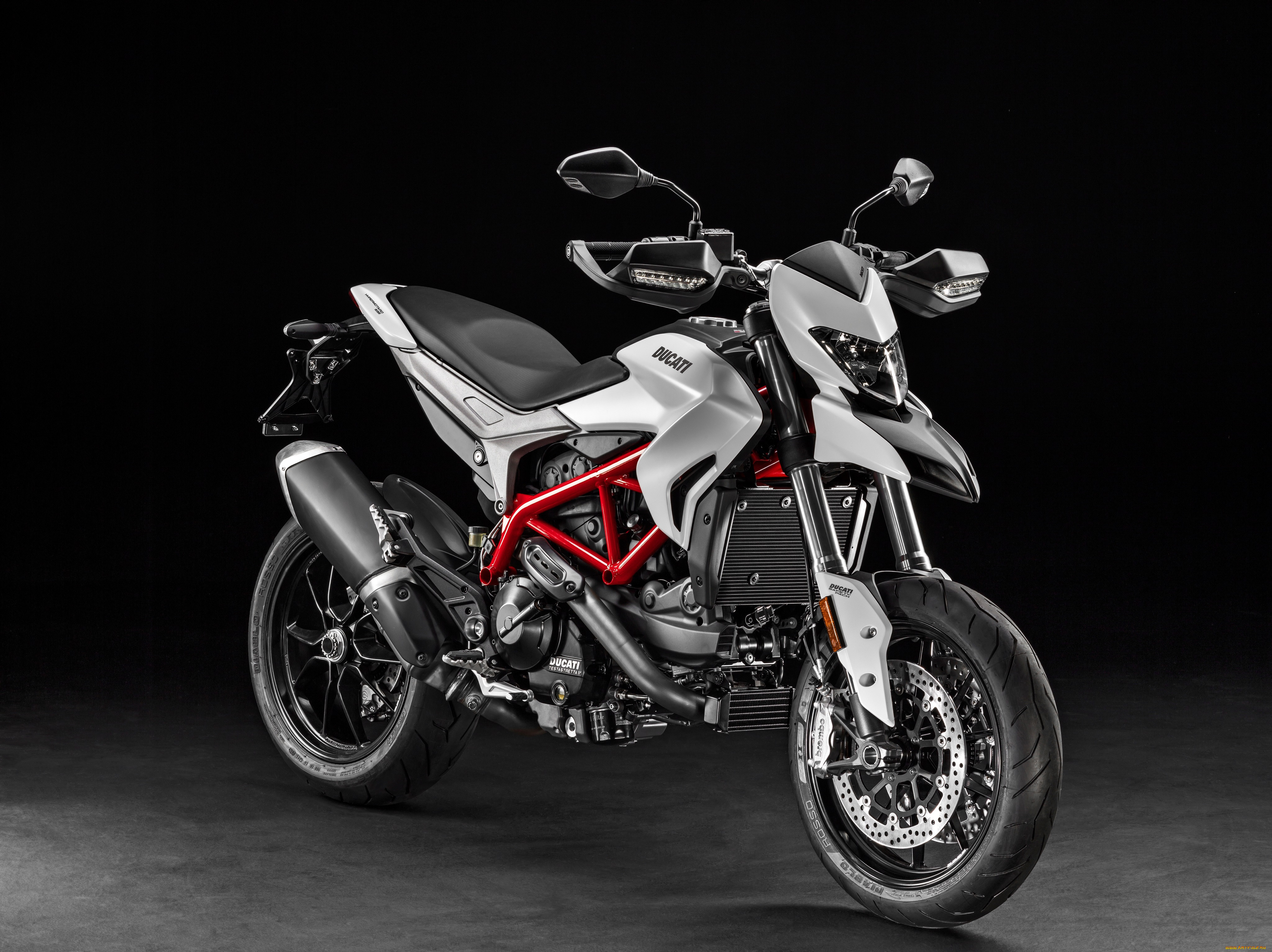 , ducati
